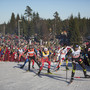 Sci nordico e biathlon - Programma e orari delle gare della settimana (6 - 10 marzo)