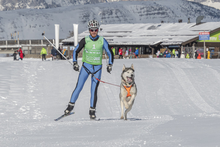 Nella foto di Massimo Mazzasogni, Andrea Picchetti con il suo Husky, binomio che ha gareggiato in skijoring nella categoria a un cane, sulla media distanza del Campionato Italiano Fidasc 2023