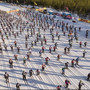 Sci di fondo – 100° Vasaloppet, il programma completo di tutta la settimana