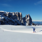 Turismo - Alpe di Siusi e Val Gardena, sci di fondo sul più vasto altipiano d’Europa.