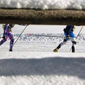Sci di fondo - La favola del 15enne Gavin Berube: riceve un paio di sci a Natale, dopo 2 mesi si laurea campione provinciale
